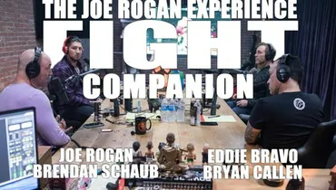 Fight Companion - November 24, 2018