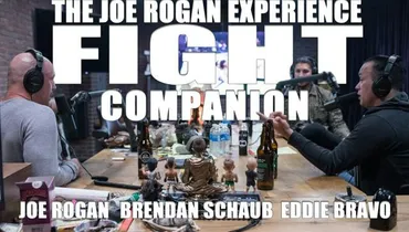 Fight Companion - November 10, 2018