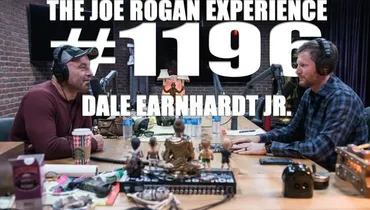 #1196 - Dale Earnhardt Jr.
