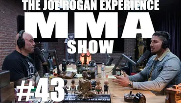 JRE MMA Show #43 with Brendan Schaub