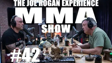 JRE MMA Show #42 with Teddy Atlas