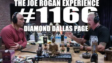 #1166 - Diamond Dallas Page