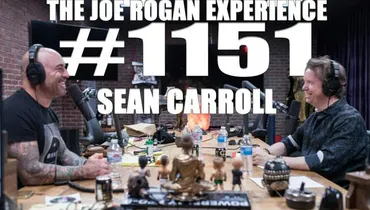 #1151 - Sean Carroll