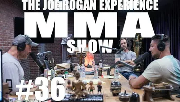 JRE MMA Show #36 with Brendan Schaub & Bryan Callen