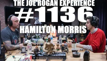#1136 - Hamilton Morris