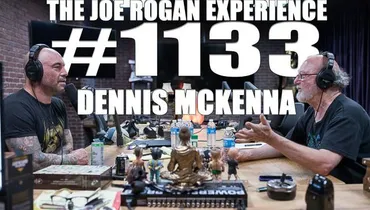 #1133 - Dennis McKenna