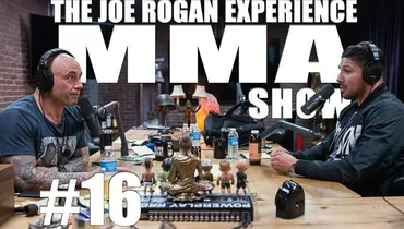 JRE MMA Show #16 with Brendan Schaub
