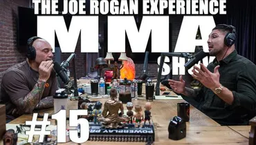 JRE MMA Show #15 with Brendan Schaub