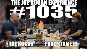 #1035 - Paul Stamets