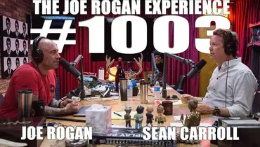 #1003 - Sean Carroll
