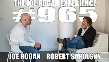 #965 - Robert Sapolsky