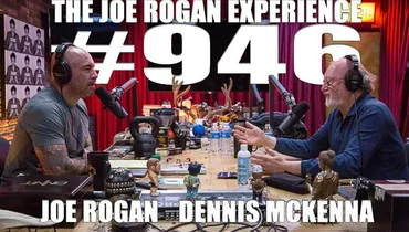 #946 - Dennis McKenna