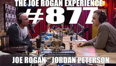 #877 - Jordan Peterson