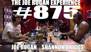 #875 - Shannon Briggs