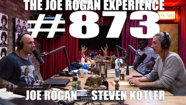 #873 - Steven Kotler