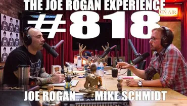 #818 - Mike Schmidt