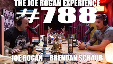 #788 - Brendan Schaub