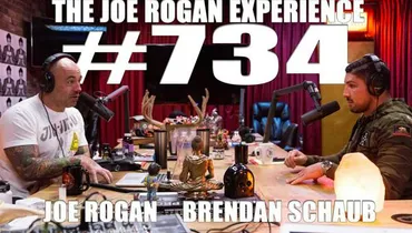 #734 - Brendan Schaub