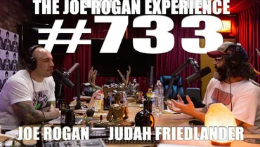 #733 - Judah Friedlander