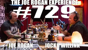#729 - Jocko Willink