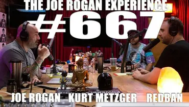 #667 - Kurt Metzger
