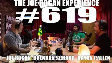 #619 - Bryan Callen & Brendan Schaub