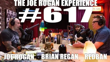 #617 - Brian Regan