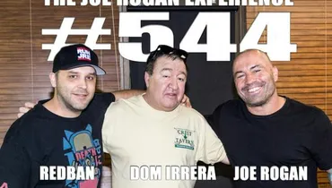 #544 - Dom Irrera