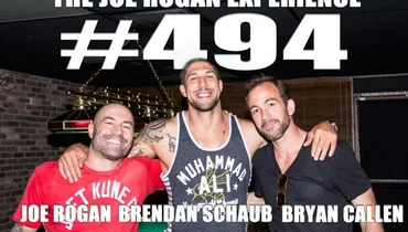 #494 - Brendan Schaub & Bryan Callen