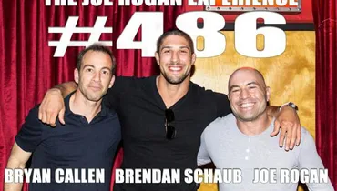 #486 - Brendan Schaub & Bryan Callen