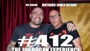 #412 - Maynard James Keenan
