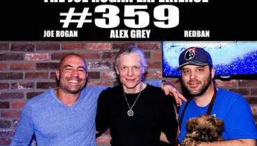 #359 - Alex Grey