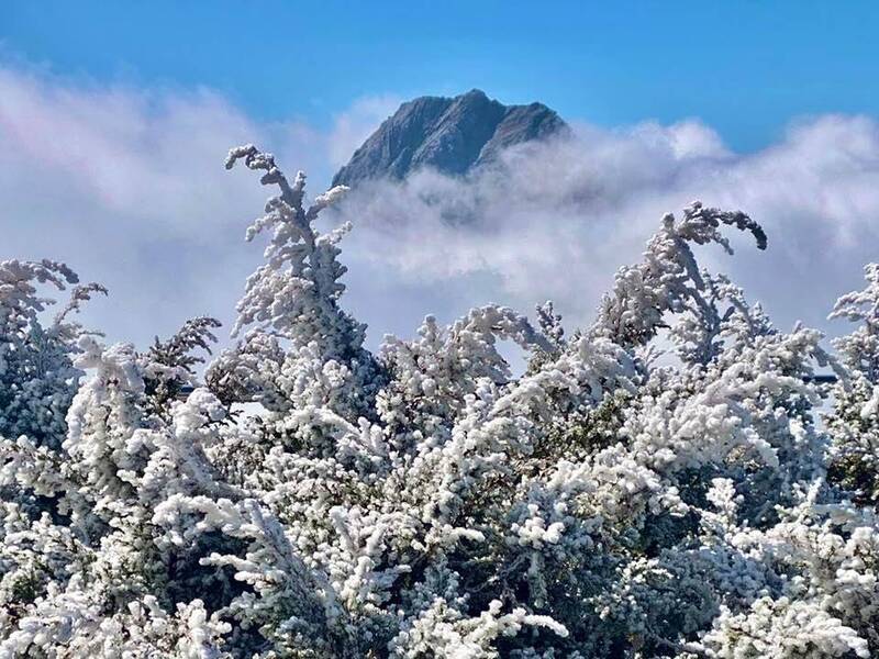 強烈大陸冷氣團達標 鄭明典分享北峰霧淞美景