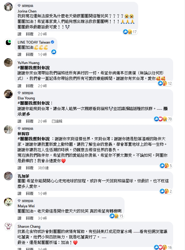 大貓熊「團團」病況惡化 臉書官網湧祝福
