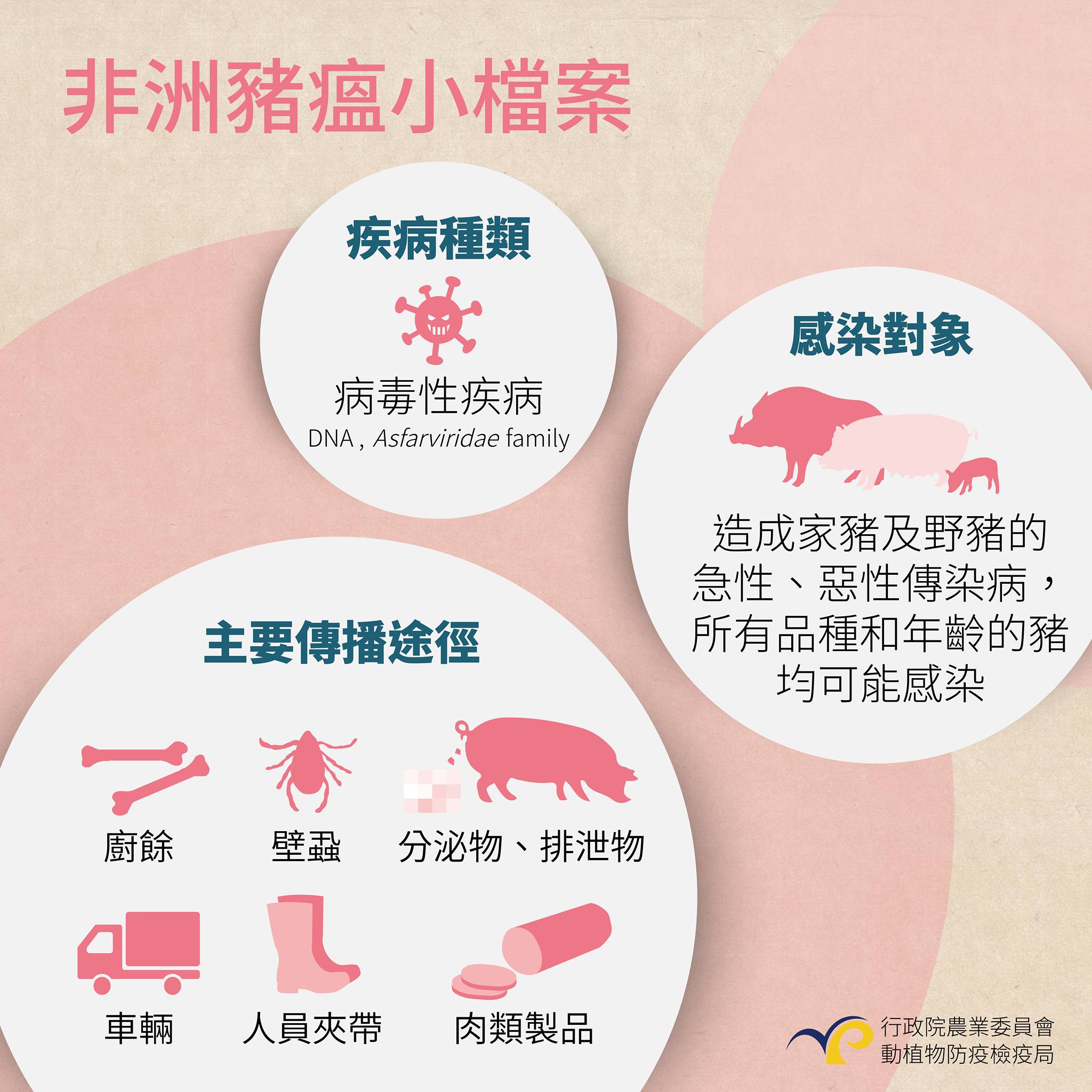 非洲豬瘟拉警報！網路販售豬肉違規品當心遭重罰