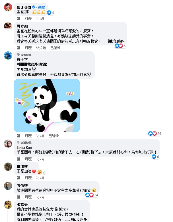 大貓熊「團團」病況惡化 臉書官網湧祝福