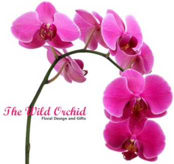 The Wild Orchid Floral Designs & Gifts