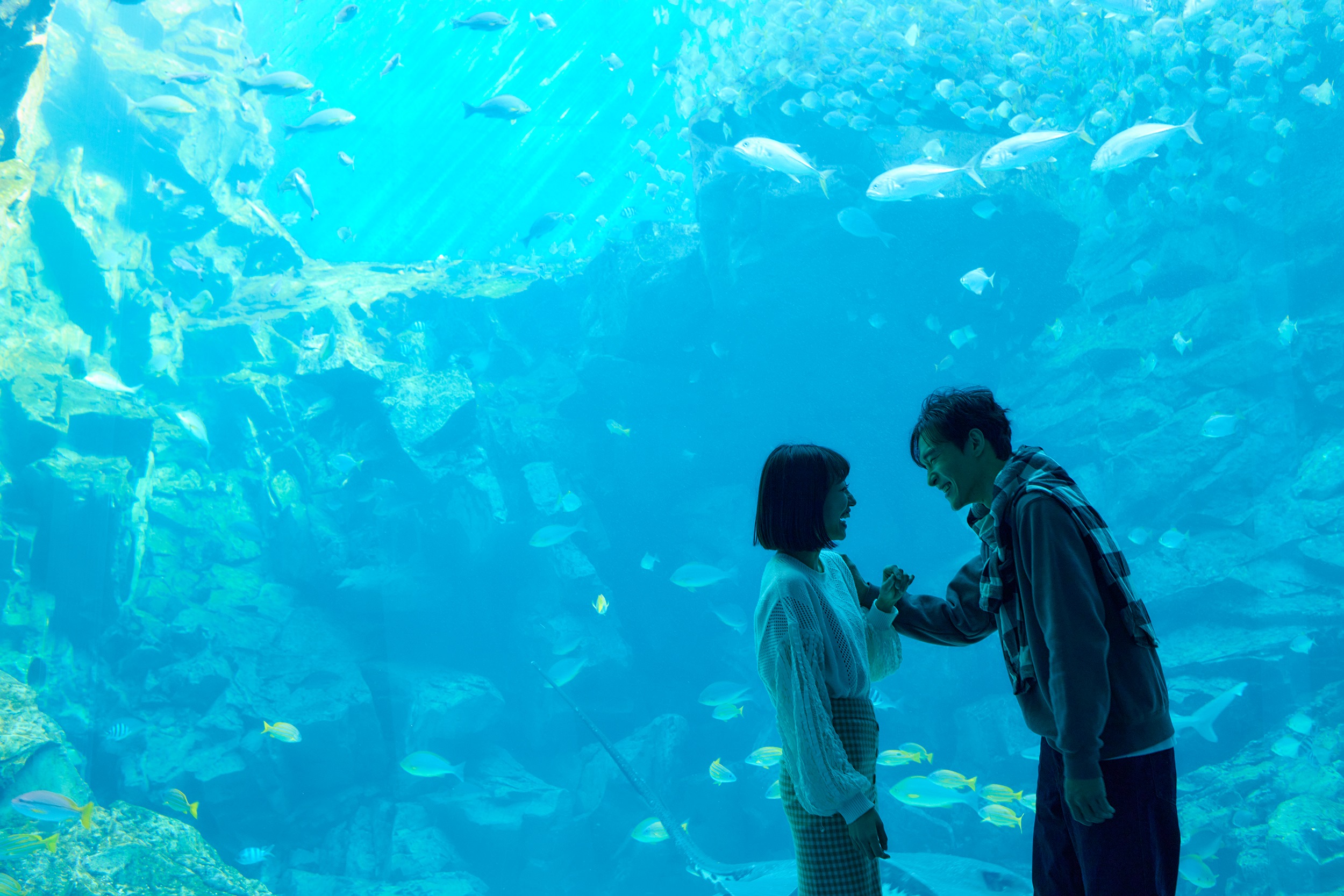 【2024 Xpark冬の水族館戀愛物語】11月11日至12月31日甜蜜再獻