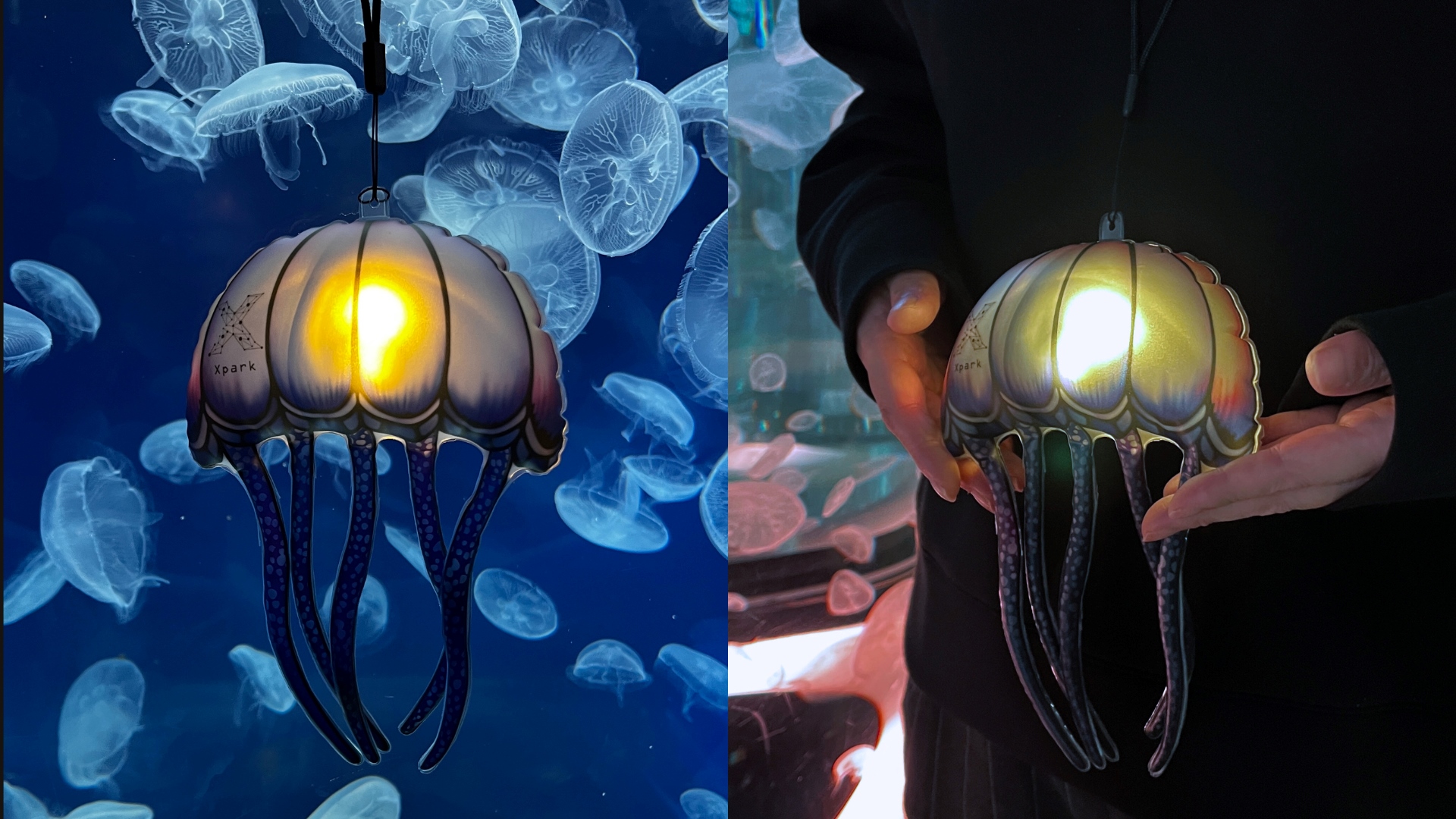 Xpark × NAKED聯名原創「2way星願水母燈籠」限定限量販售