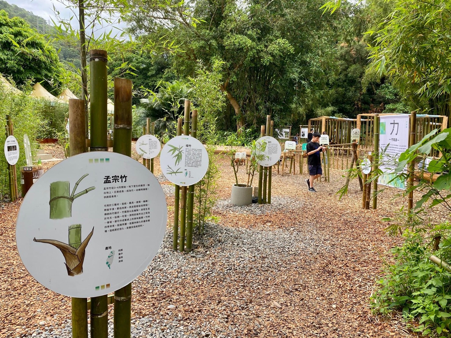 宜蘭綠博特色展區-竹林系(林業固碳).jpg