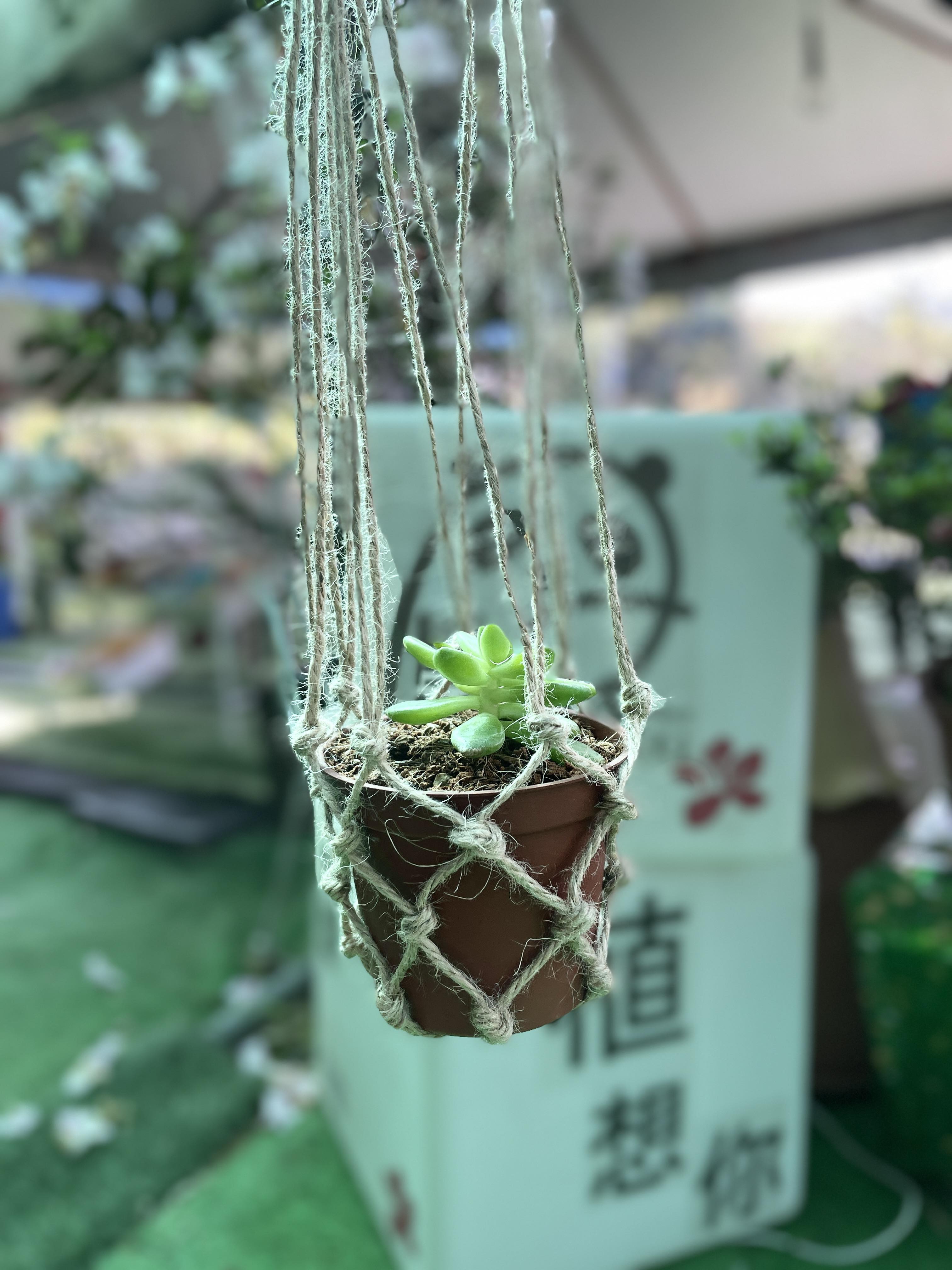 熊熊杜鵑花圃坊DIY編織提籃.jpg