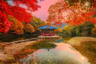 圖三_韓國雙名山楓紅5日.png