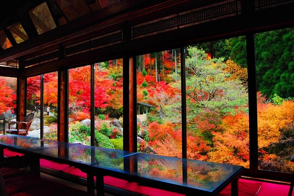 圖二_九州秋紅米其林美饌雙溫泉5日.jpg