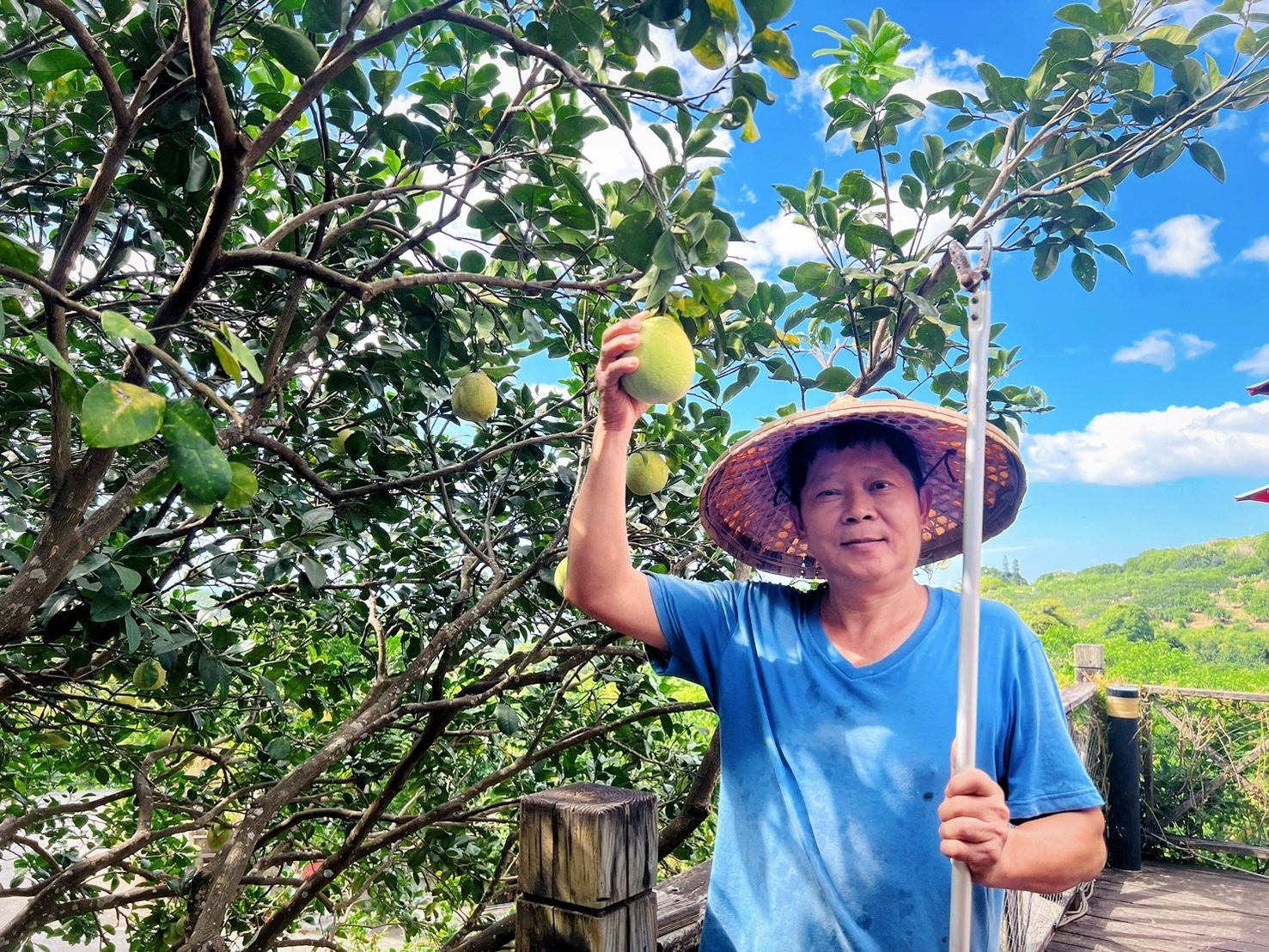 「文旦柚茶」則選用八里在地小農桃樂絲農場的精選柚子熬製