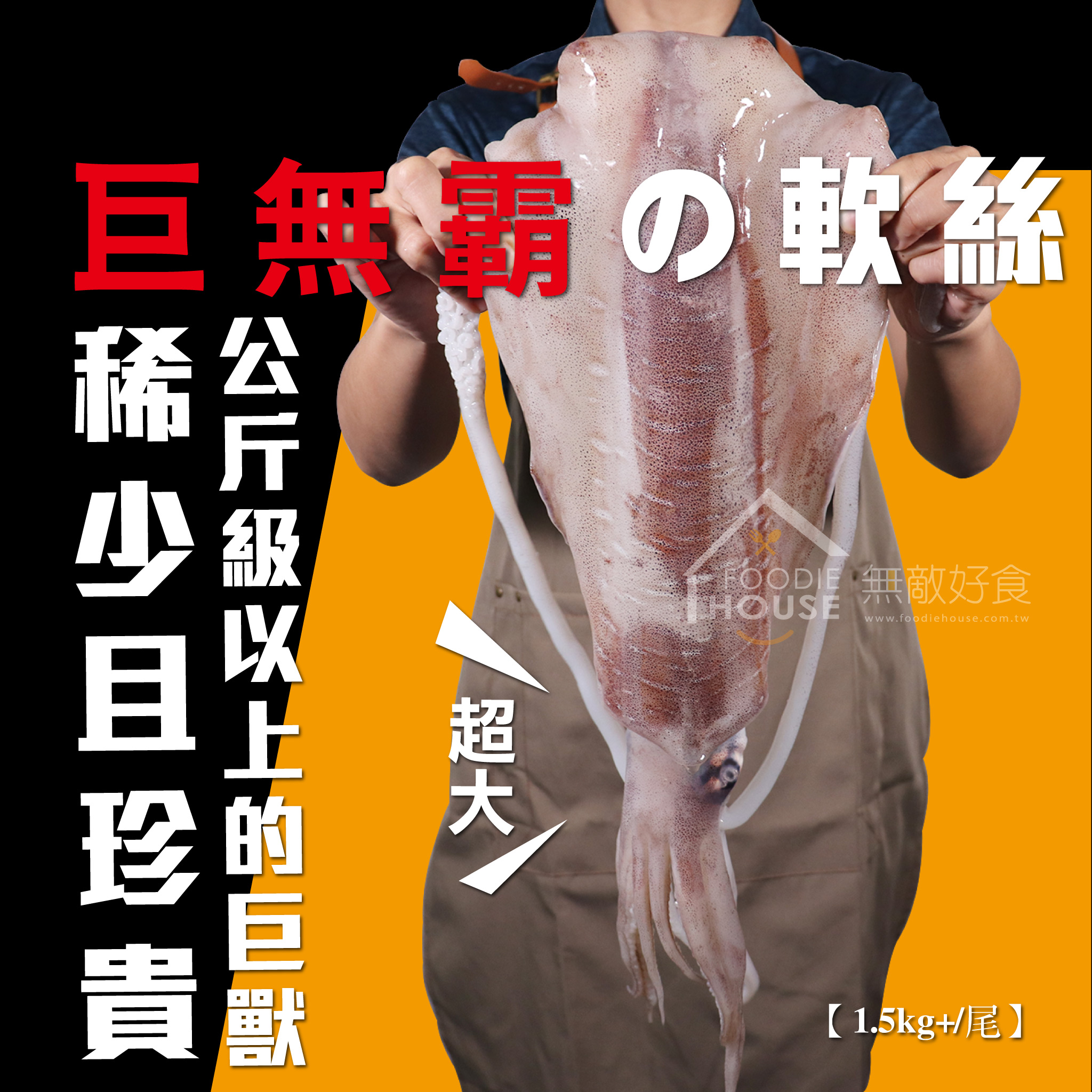 巨無霸軟絲