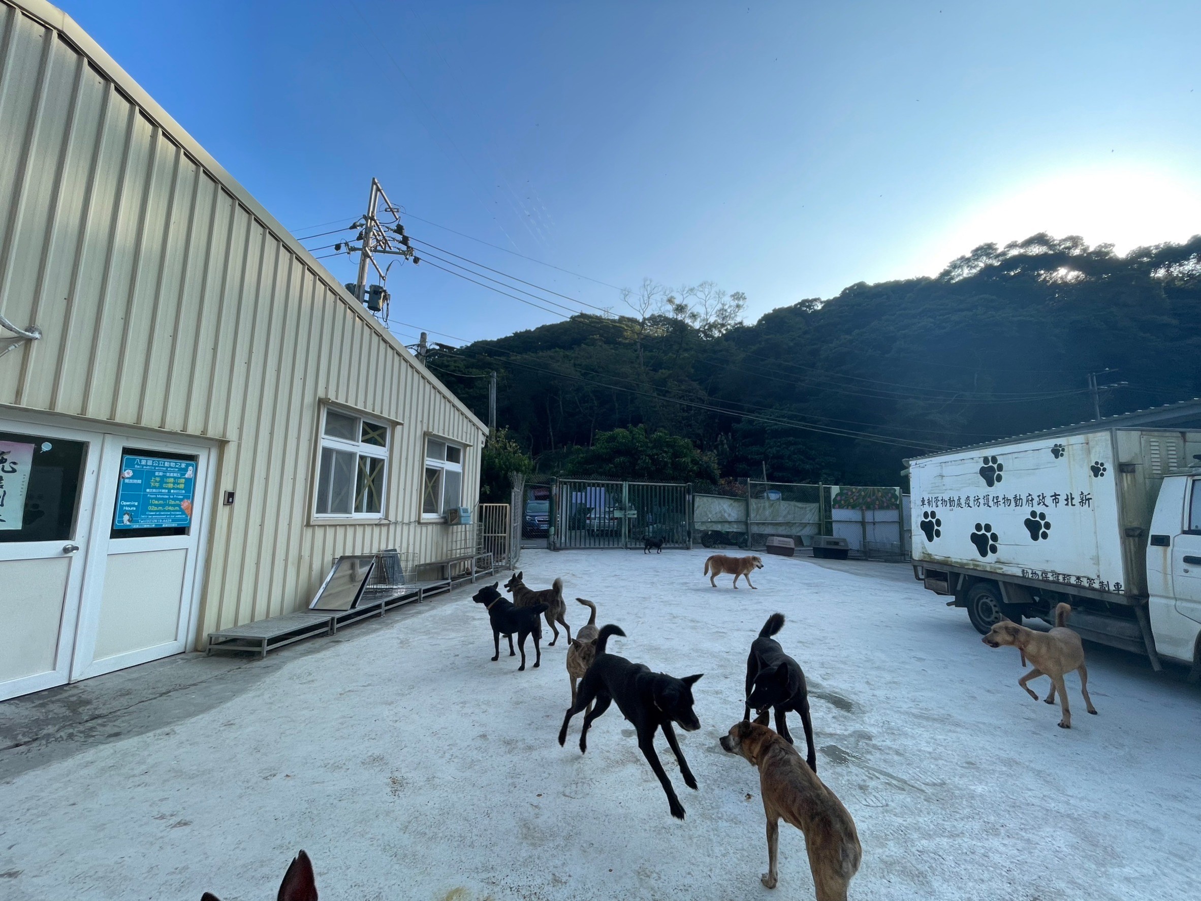 八里毛寶貝每日放風行程
