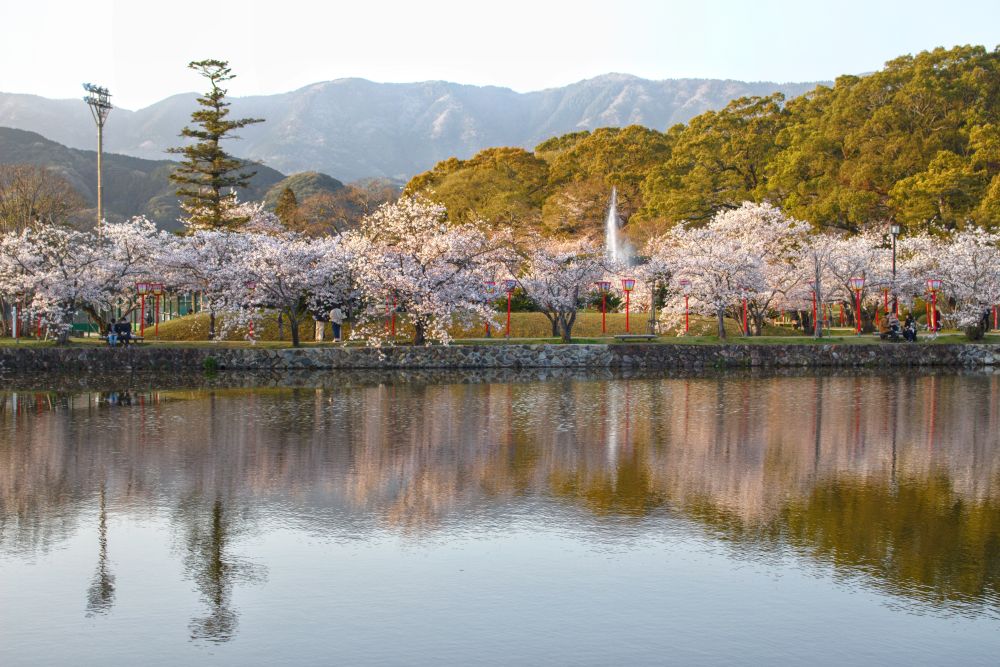 擁有500顆櫻花的佐賀賞櫻名所-佐賀城公園，「九州春暖花開小資輕旅行6日」，打卡三大稻荷神社之一祐德稻荷神社、浦之崎車站櫻花隧道，佐賀城公園，旅展期間秒殺一口價18,999元