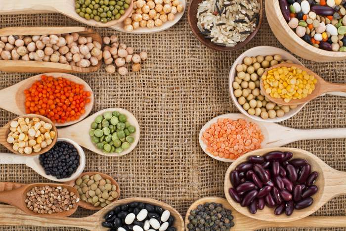 Polvo de proteína: ¿Cuál es el adecuado para TI?