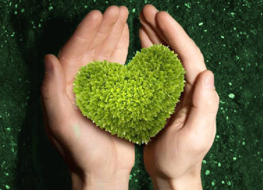 Todo lo que necesitas es amor…Y una dieta a base de plantas