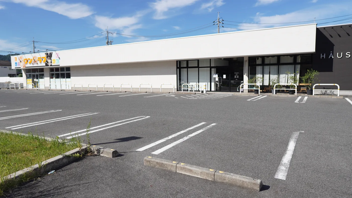 駐車場。台数の多さと停めやすさが伝わる引き